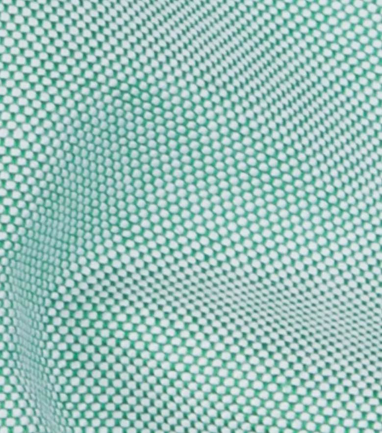 Chemise en Oxford américain épais