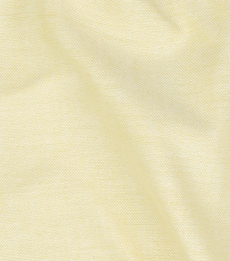 Chemise en Oxford coloré